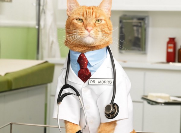 Dr. Katinas
